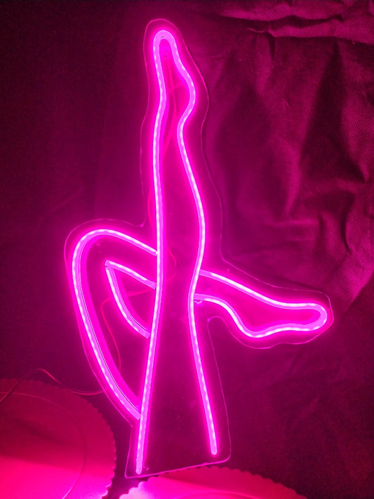 Adorno Acrílico y neón